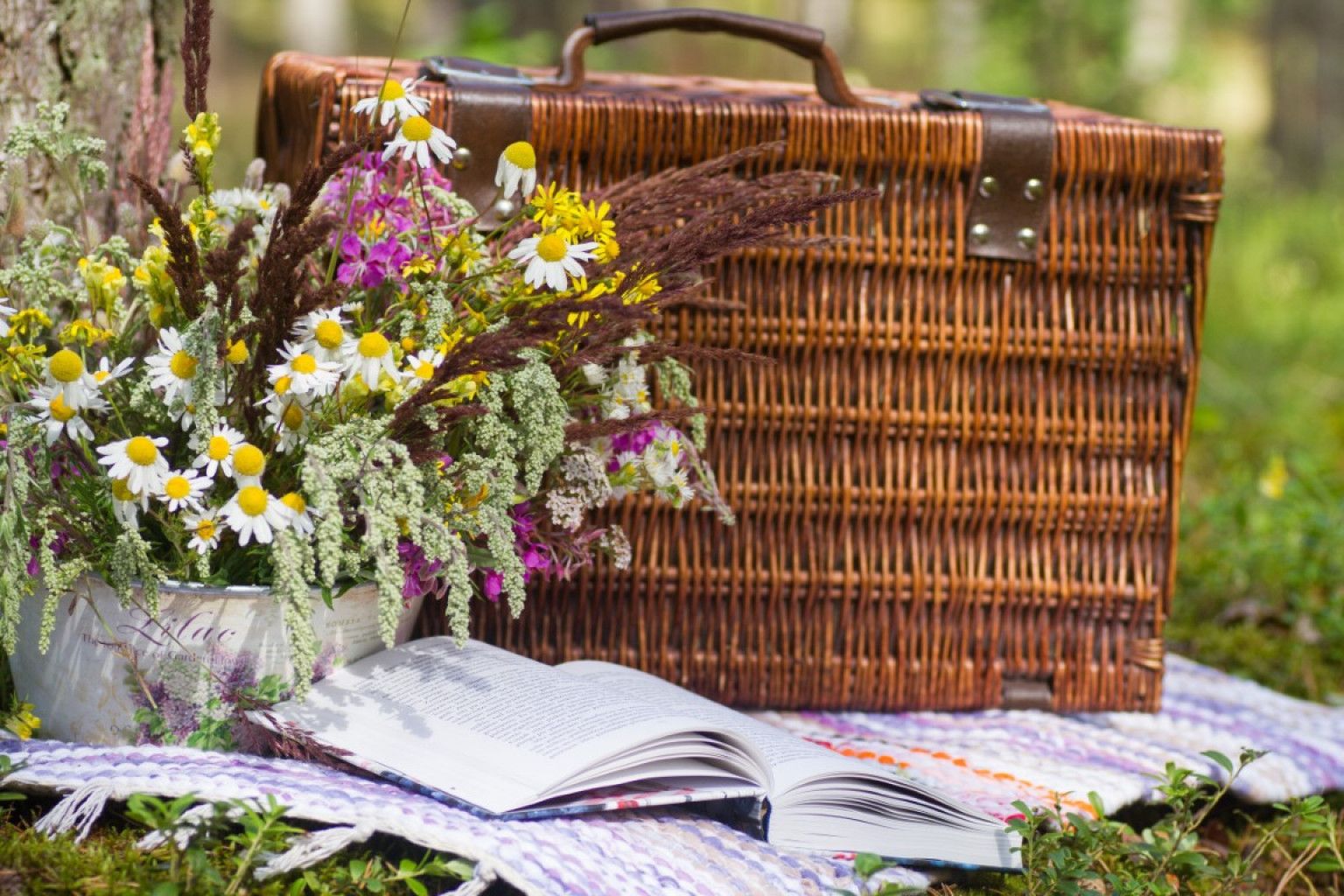 Picknick