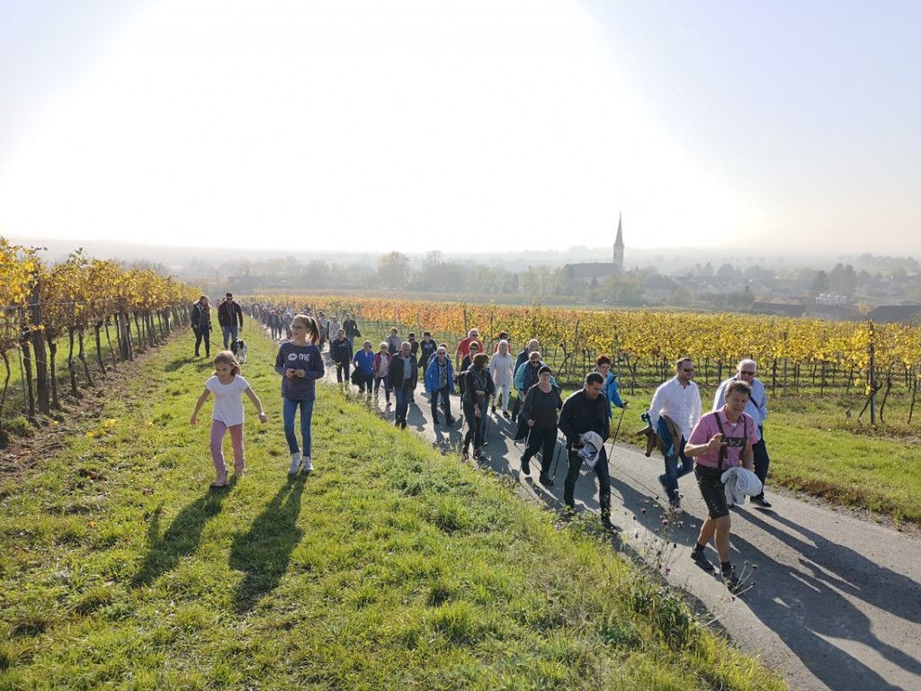 Bewegen & Genießen