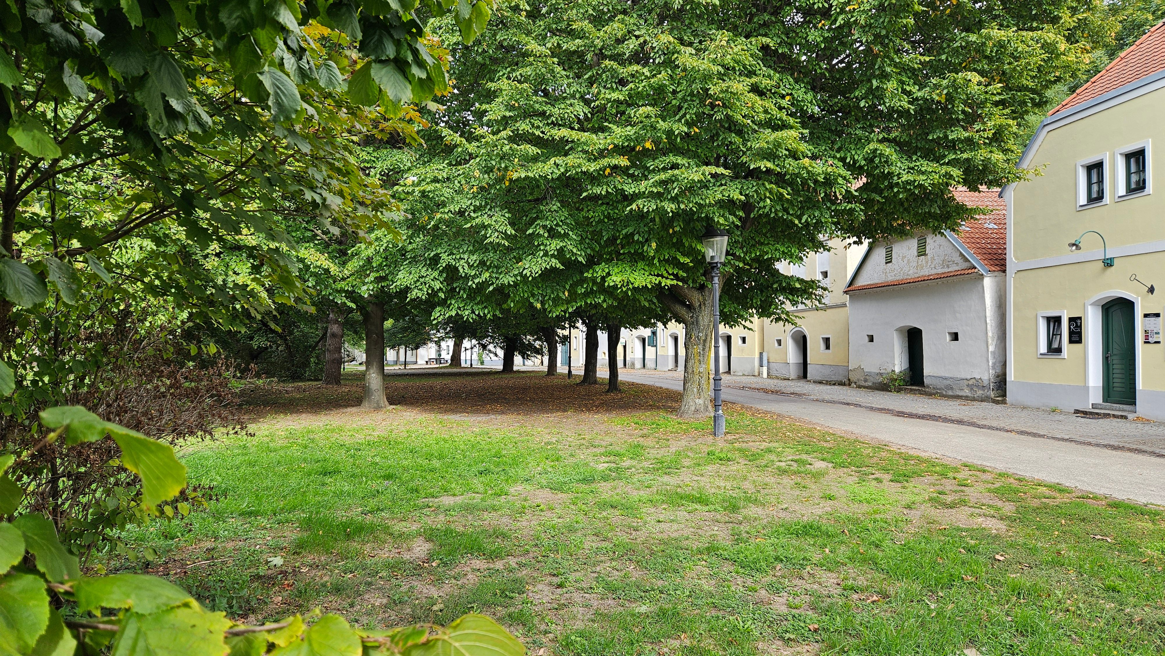 Kellergasse in Nappersdorf mit alten Häusern, großen Bäumen, Laternen und einem grasigen Platz.