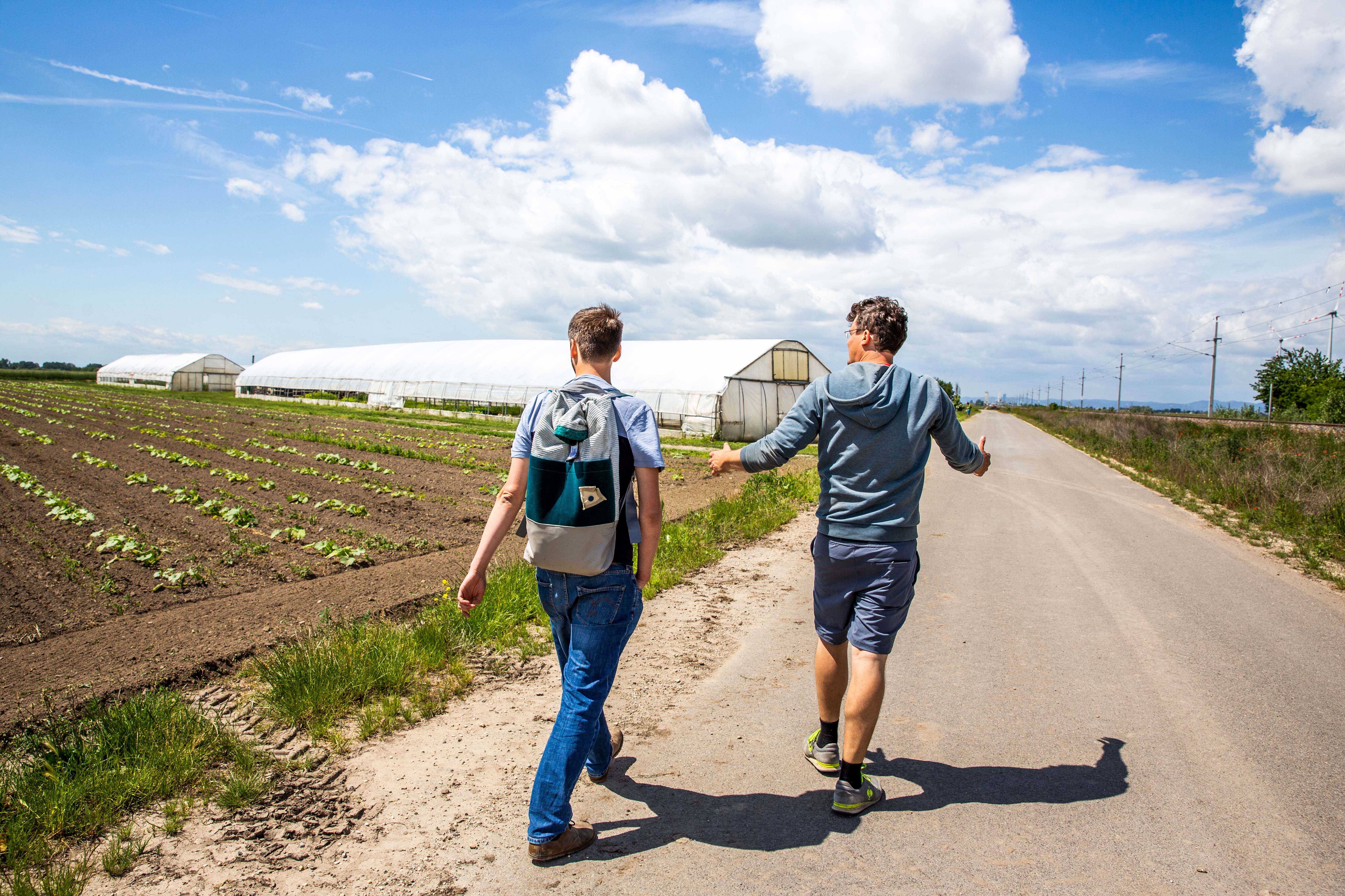Zwei Personen bei einer Betriebsführung umgeben von Feldern und Folientunneln.