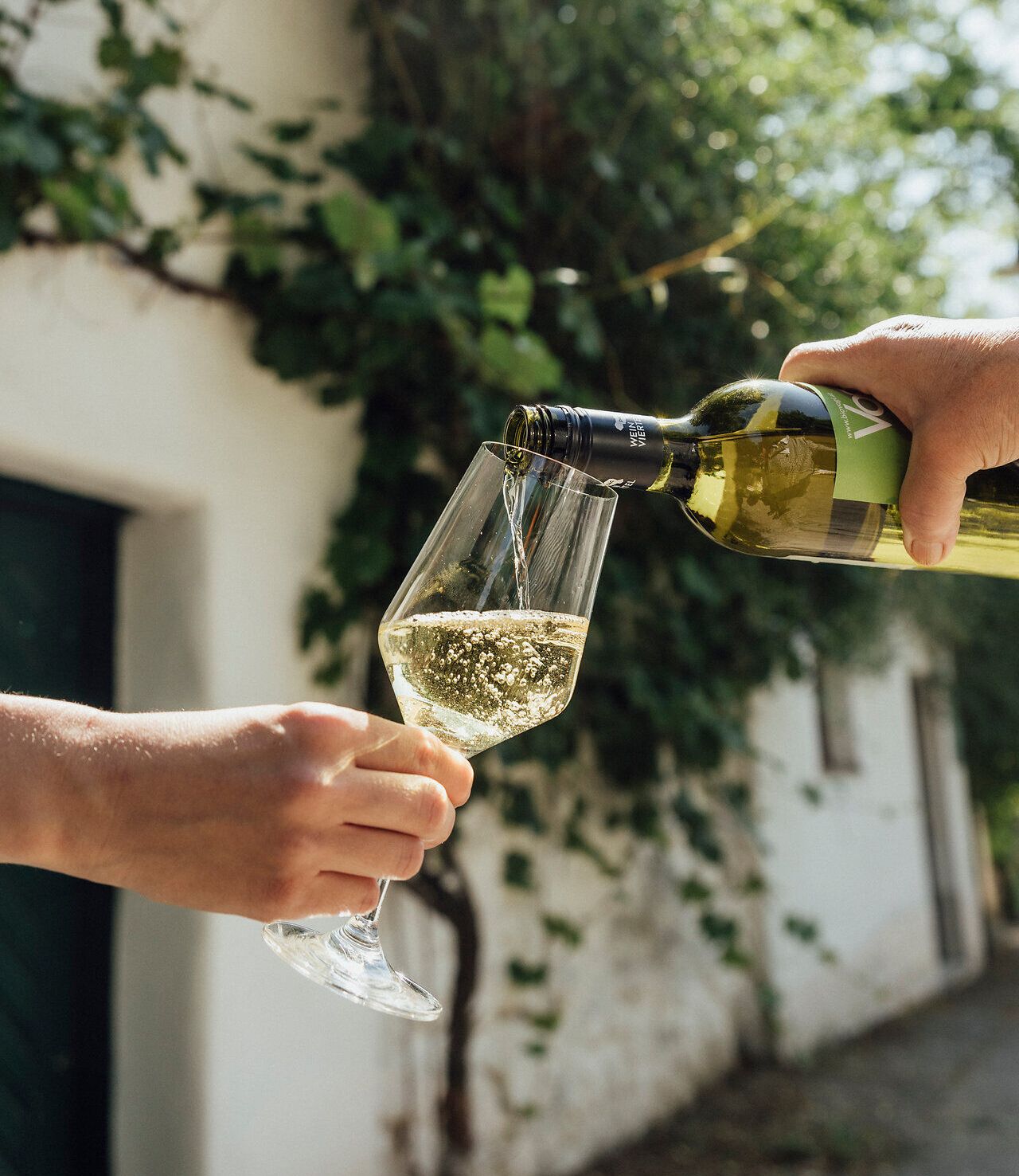 Inmitten der malerischen Weinviertler Kellergassen fließt der spritzige Wein in ein elegantes Glas. Die warmen Sonnenstrahlen und das sanfte Plätschern des Weins schaffen eine einladende Atmosphäre, die zum Verweilen und Genießen einlädt.