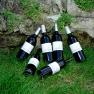 Six wine bottles on grass in front of a stone wall.