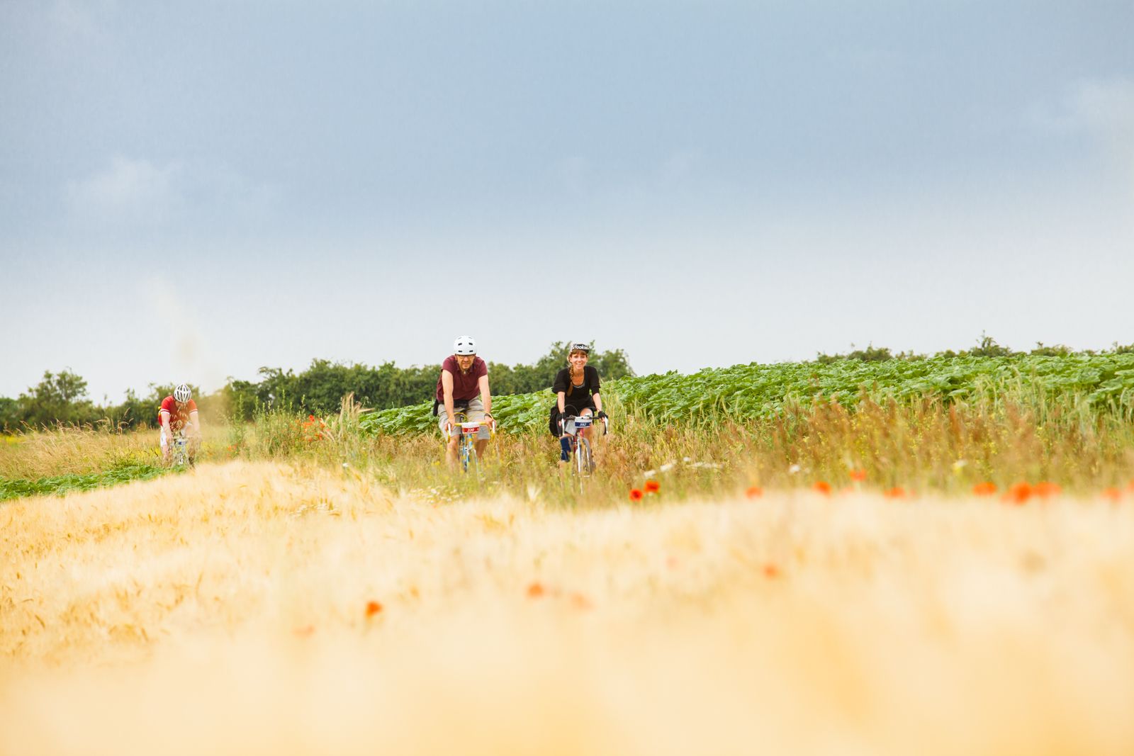 Radfahrer radeln hinter Feldern.