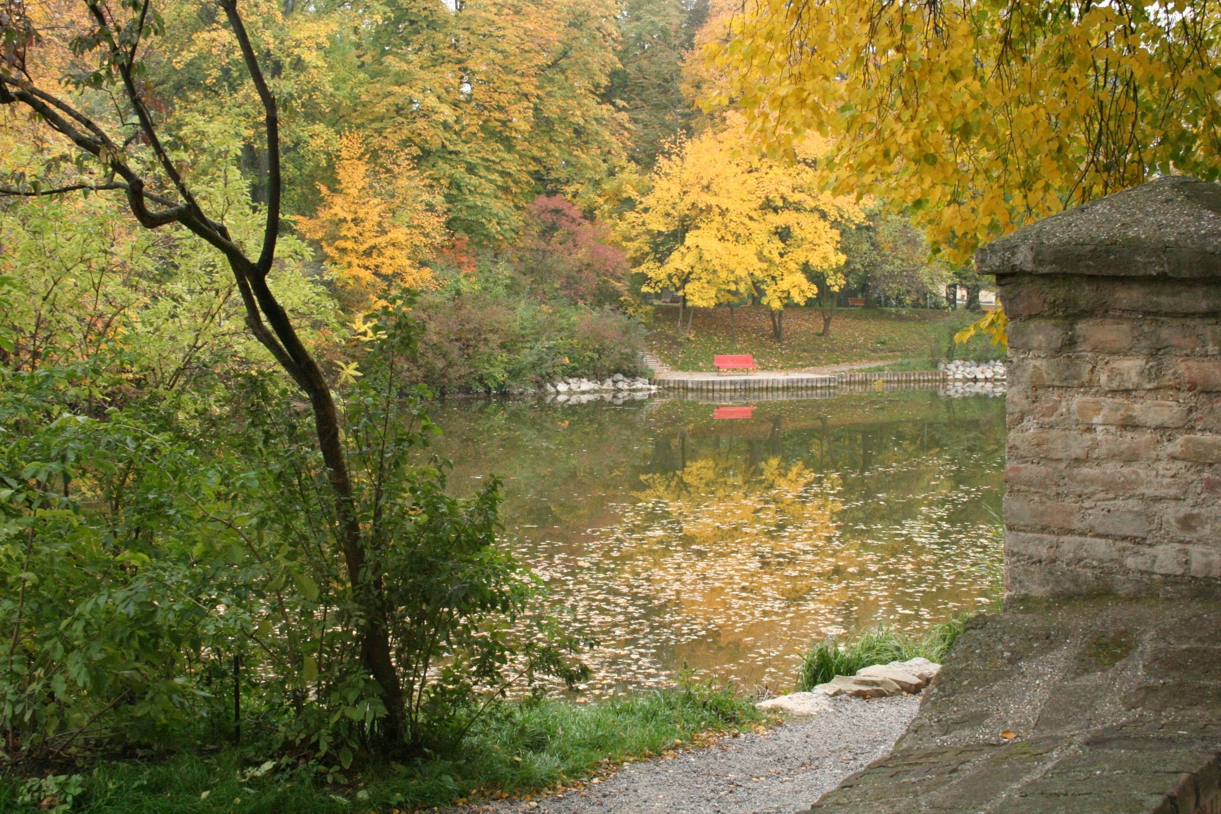 Herbstliche Szene am Schlossteich in Wolkersdorf mit buntem Laub und einer roten Bank am Ufer.