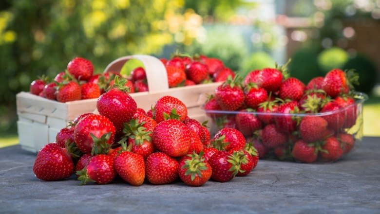 Strawberries, © Fam Edlinger