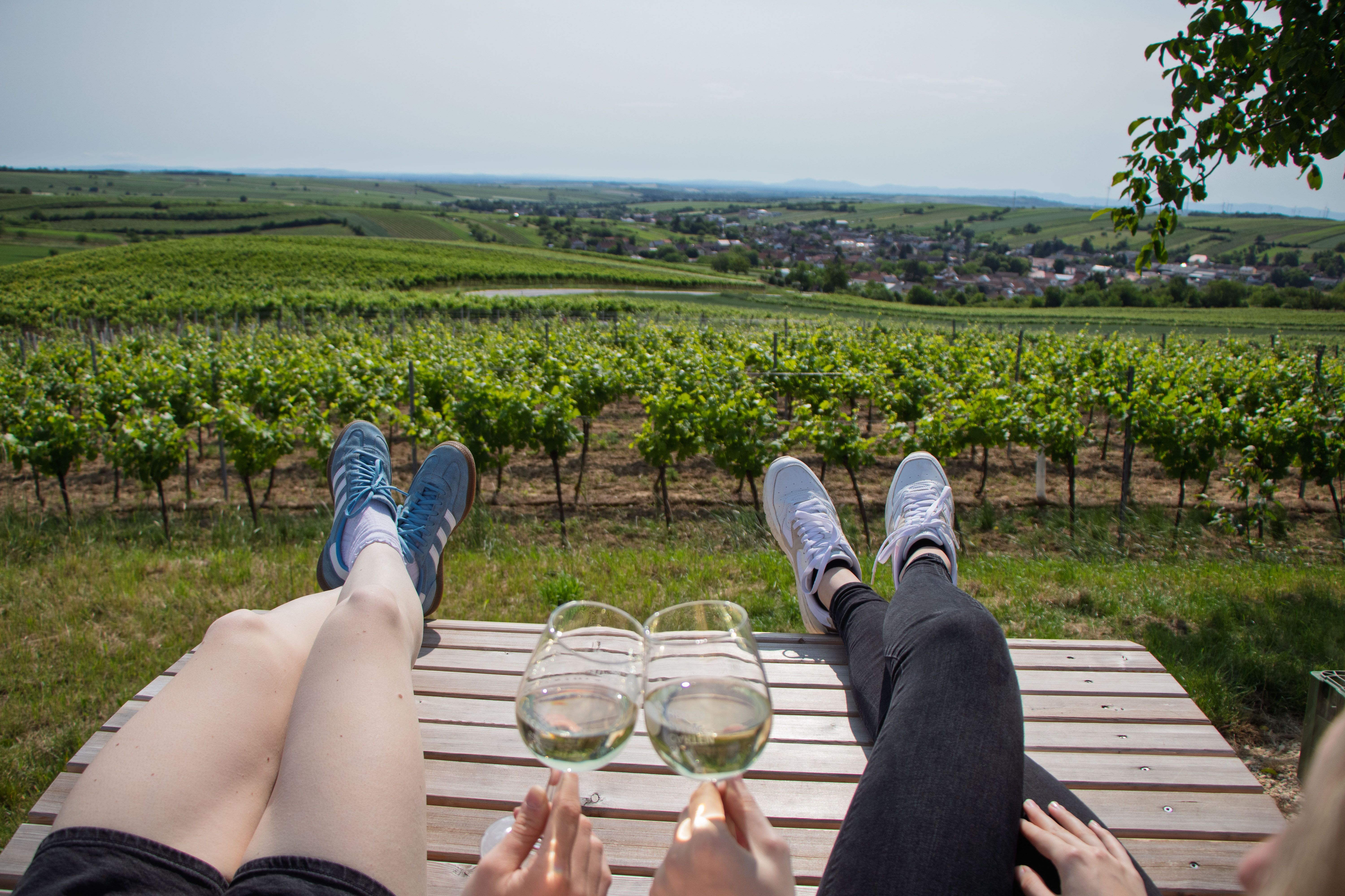 Zwei Personen entspannen auf einer Bank in einem Weinberg mit Blick auf die Landschaft, während sie Weingläser anstoßen.
