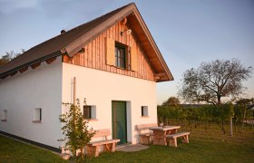 Ein kleines Haus mit Holzelementen und grüner Tür, umgeben von Weinreben und einem Baum im Sonnenuntergang.