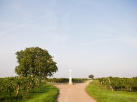 Zellerndorf, &copy; Astrid Bartl