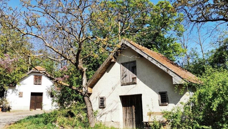 Zwei kleine, traditionelle Weinkeller in einer gr&uuml;nen Umgebung mit bl&uuml;henden B&auml;umen und blauem Himmel.