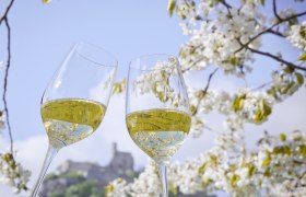 Jarní požitek z vína, © Weinstraßen Weinviertel