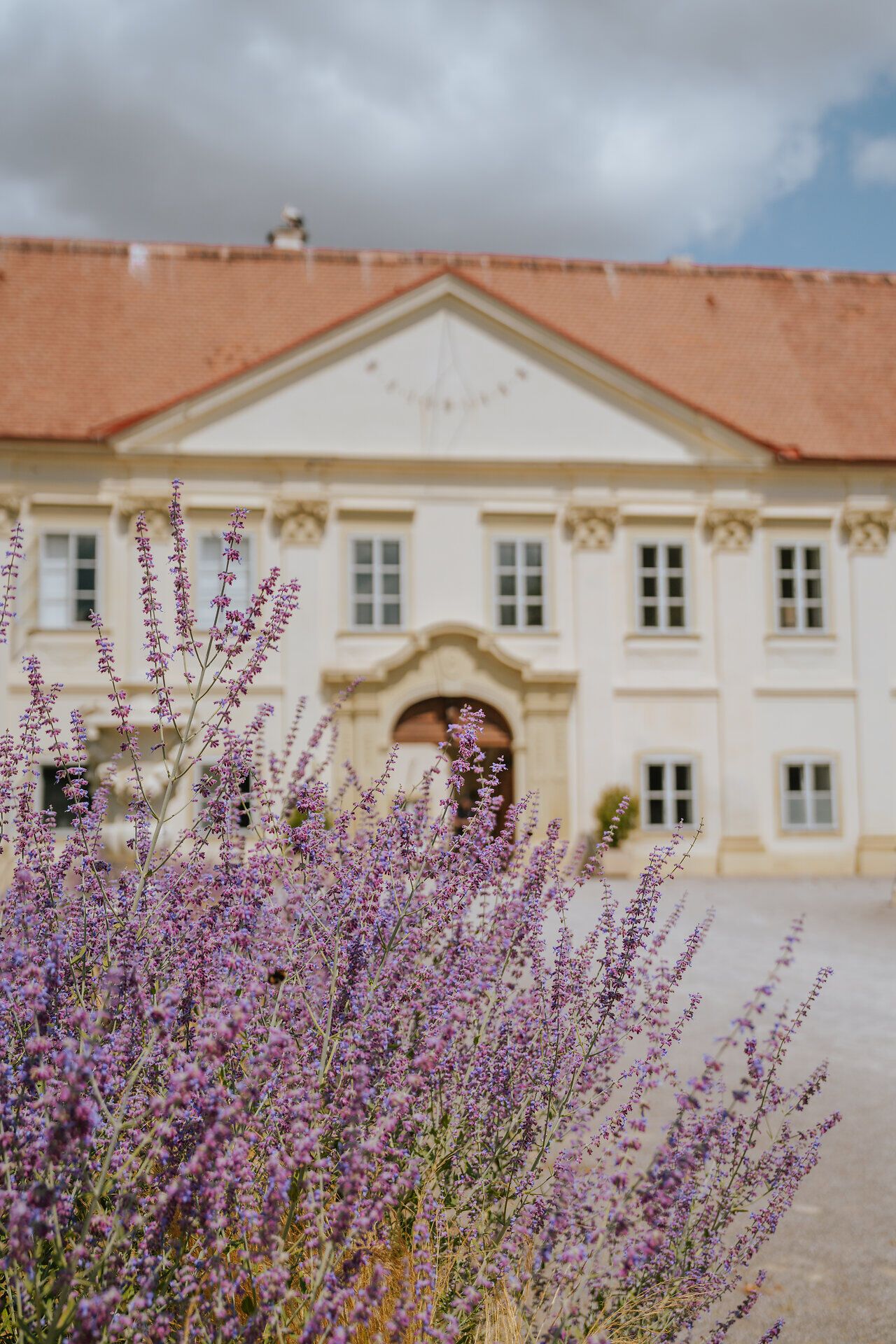 In der malerischen Aulandschaft erblühen die lila Blüten des Lavendels und schaffen eine harmonische Verbindung zur majestätischen Architektur des Schlosses. Die sanften Wolken am Himmel verleihen der Szenerie eine friedliche Atmosphäre, die zum Verweilen einlädt. Hier, wo Natur und Geschichte aufeinandertreffen, wird jeder Besuch zu einem unvergesslichen Erlebnis.