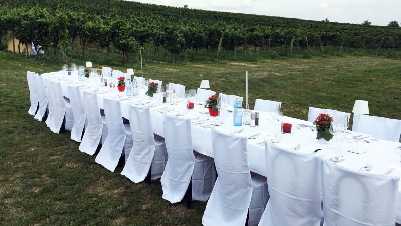 Lange, weiß gedeckte Tafel im Freien vor einem Weinberg.