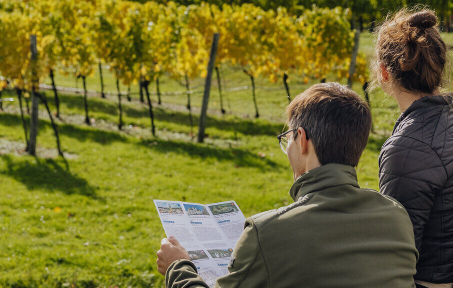 Eine junge Frau im Rollstuhl und ein Mann genießen den Ausblick auf eine mit herbstlich gefärbten Weingärten durchzogene Landschaft. Der Mann hält einen Folder mit Tipps in der Hand.