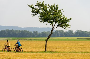Radfahren im Marchfeld, © Weinviertel Tourismus / Himml