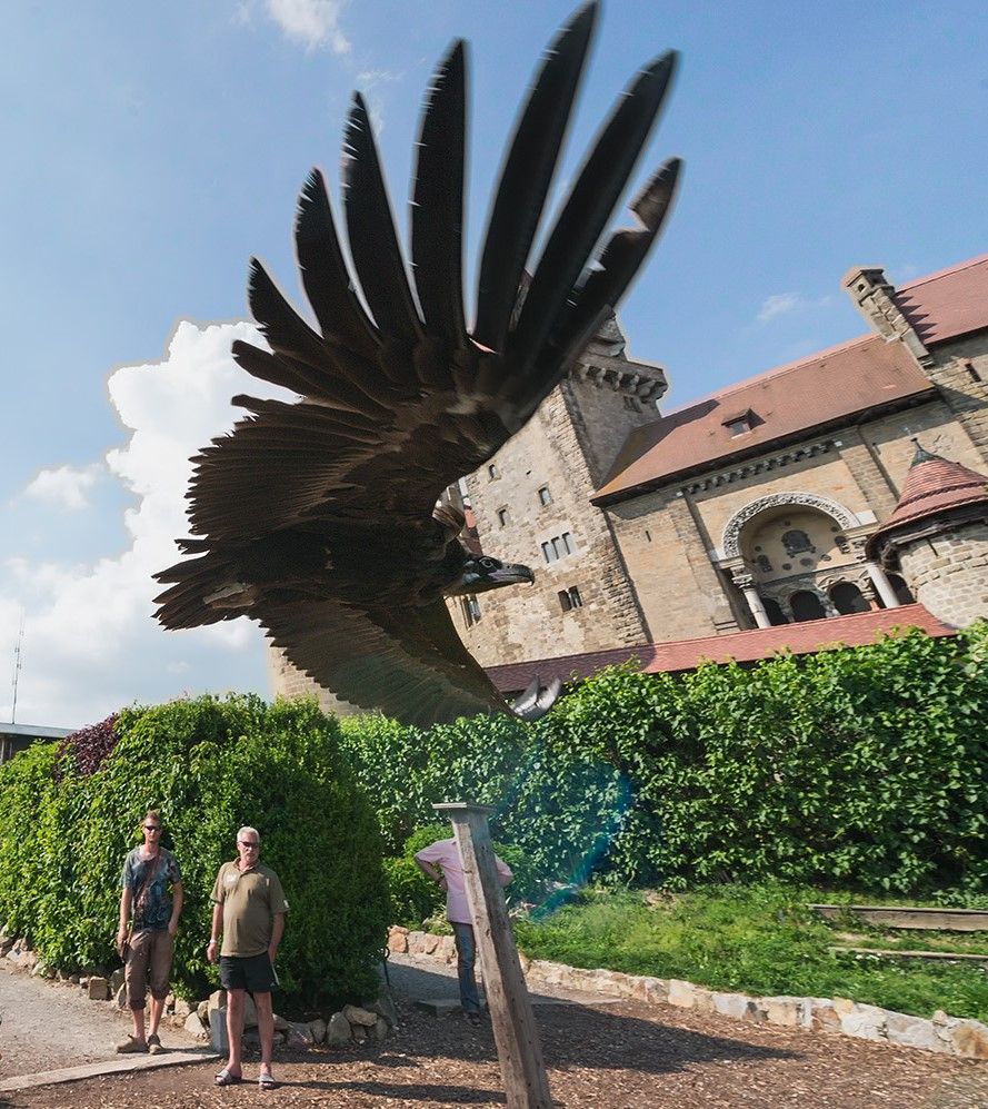 Ein großer Vogel fliegt nah an einer Burg vorbei, während zwei Personen im Hintergrund stehen.