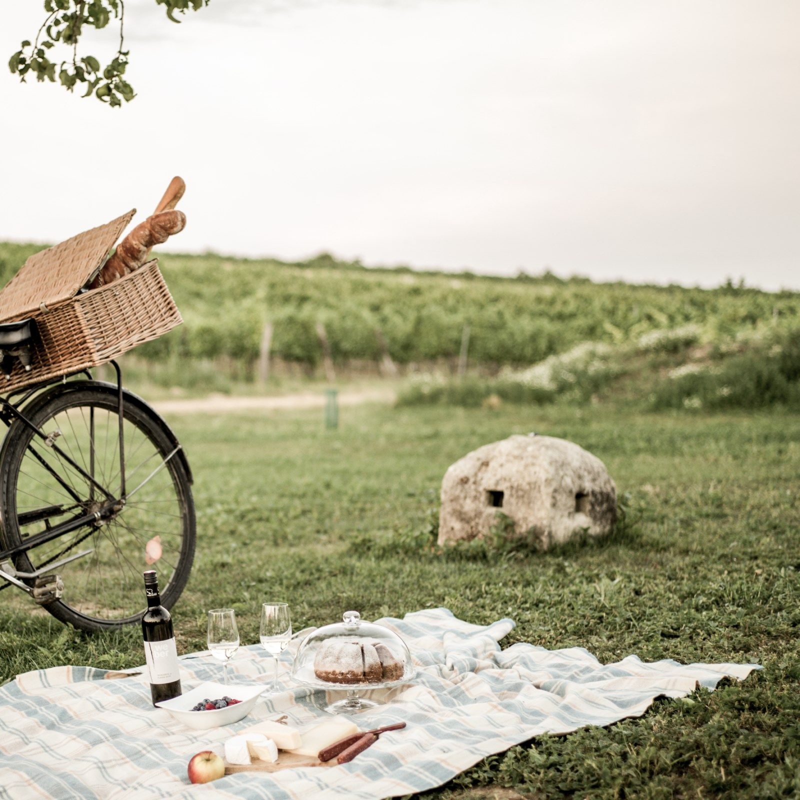 Picknickdecke mit Wein, Gläsern, Kuchen und Obst auf einer Wiese vor einem Weinberg.