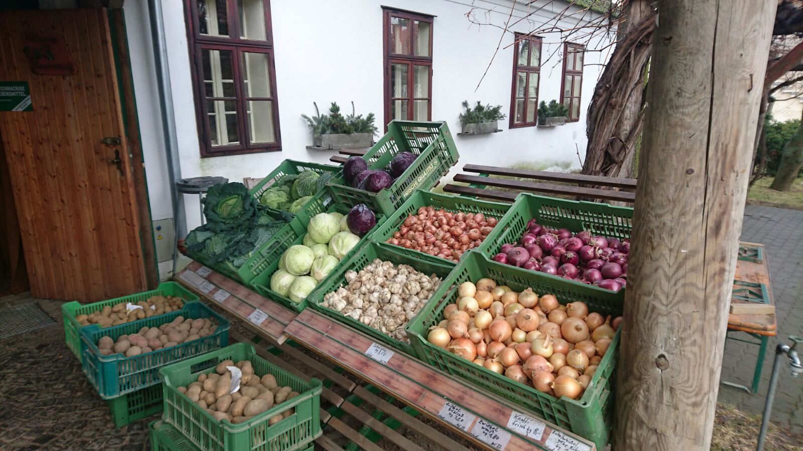 Gemüsestand mit verschiedenen Sorten von Kohl, Zwiebeln und Kartoffeln in grünen Kisten vor einem Gebäude.