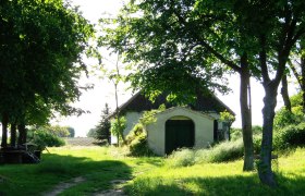 Ein Weinkeller in einer grünen Landschaft mit Bäumen und Wiese im Weinviertel.