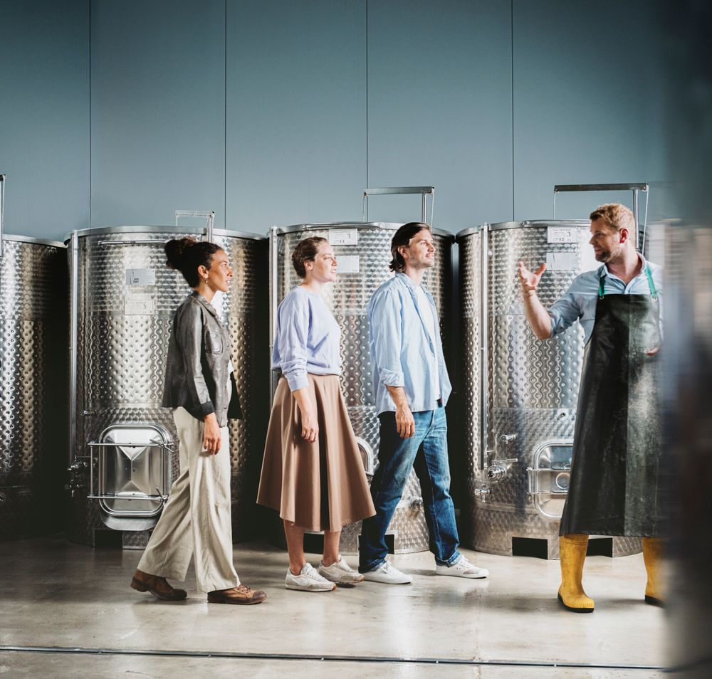 Eine Gruppe von Menschen schlendert durch die beeindruckenden Weinreben, umgeben von der malerischen Landschaft des Weinviertels. Die warme Herbstsonne taucht die Szenerie in goldenes Licht und verspricht genussvolle Erlebnisse bei der Weinernte.
