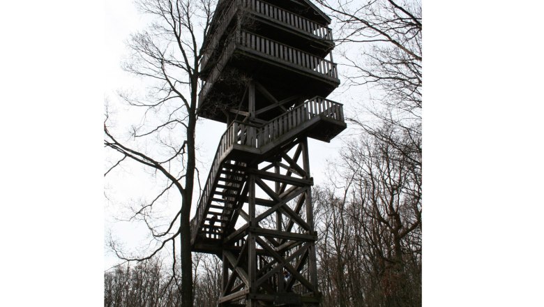 Ein hölzerner Aussichtsturm im Wald mit mehreren Plattformen und Treppen.