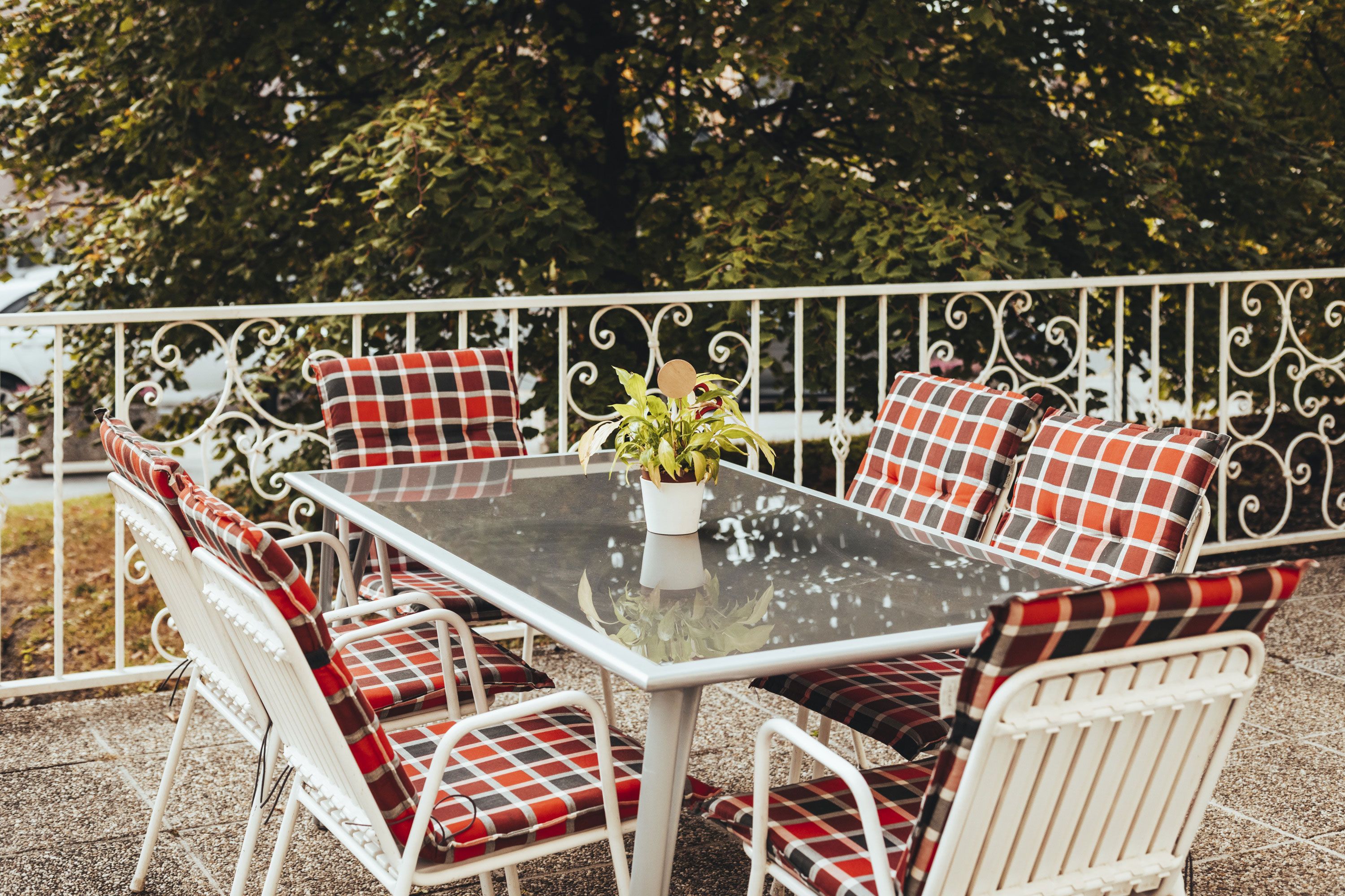 Gartentisch mit karierten Stühlen und Pflanze auf Terrasse.