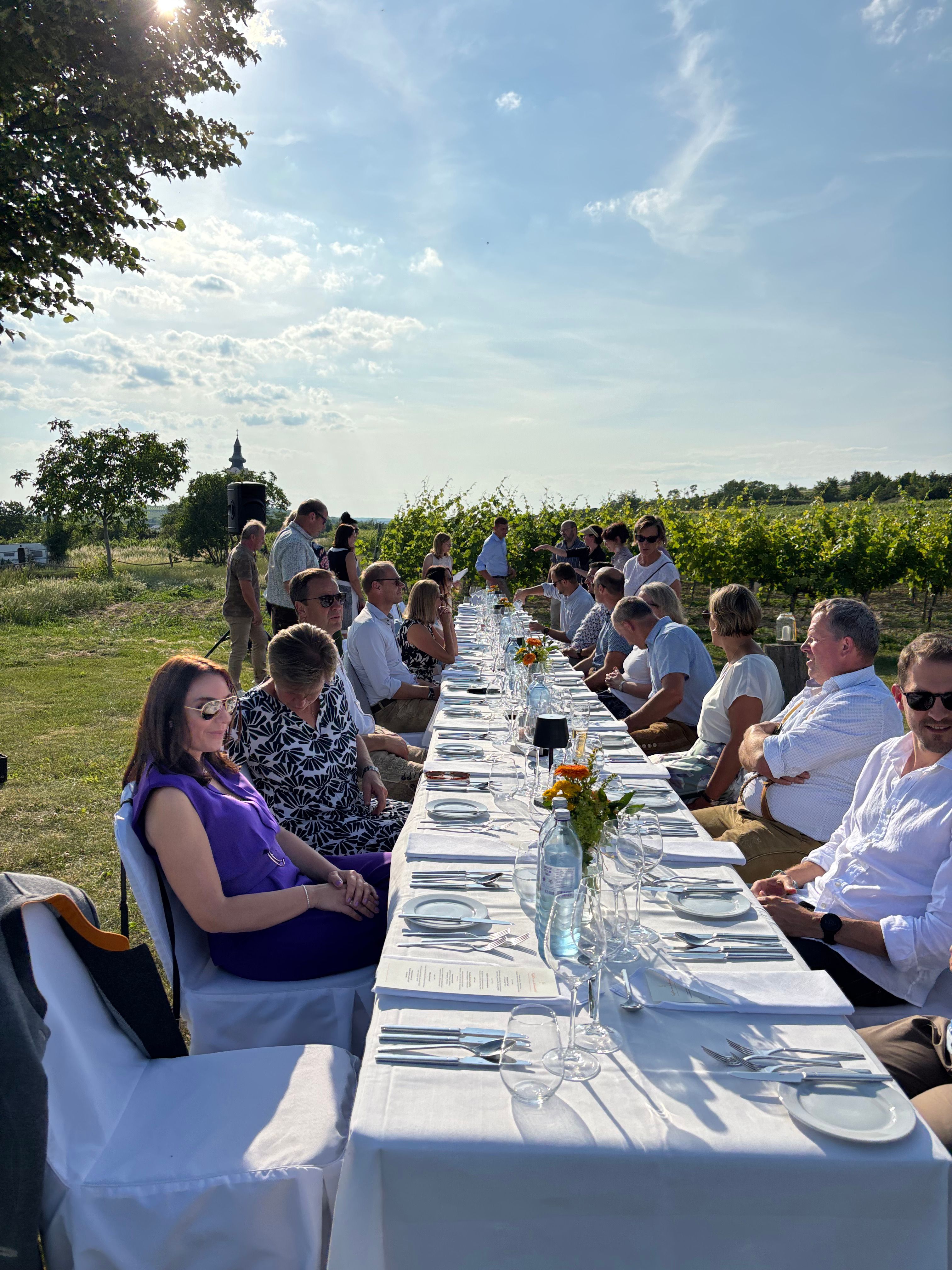Menschen sitzen an einem langen Tisch im Freien neben einem Weinberg.