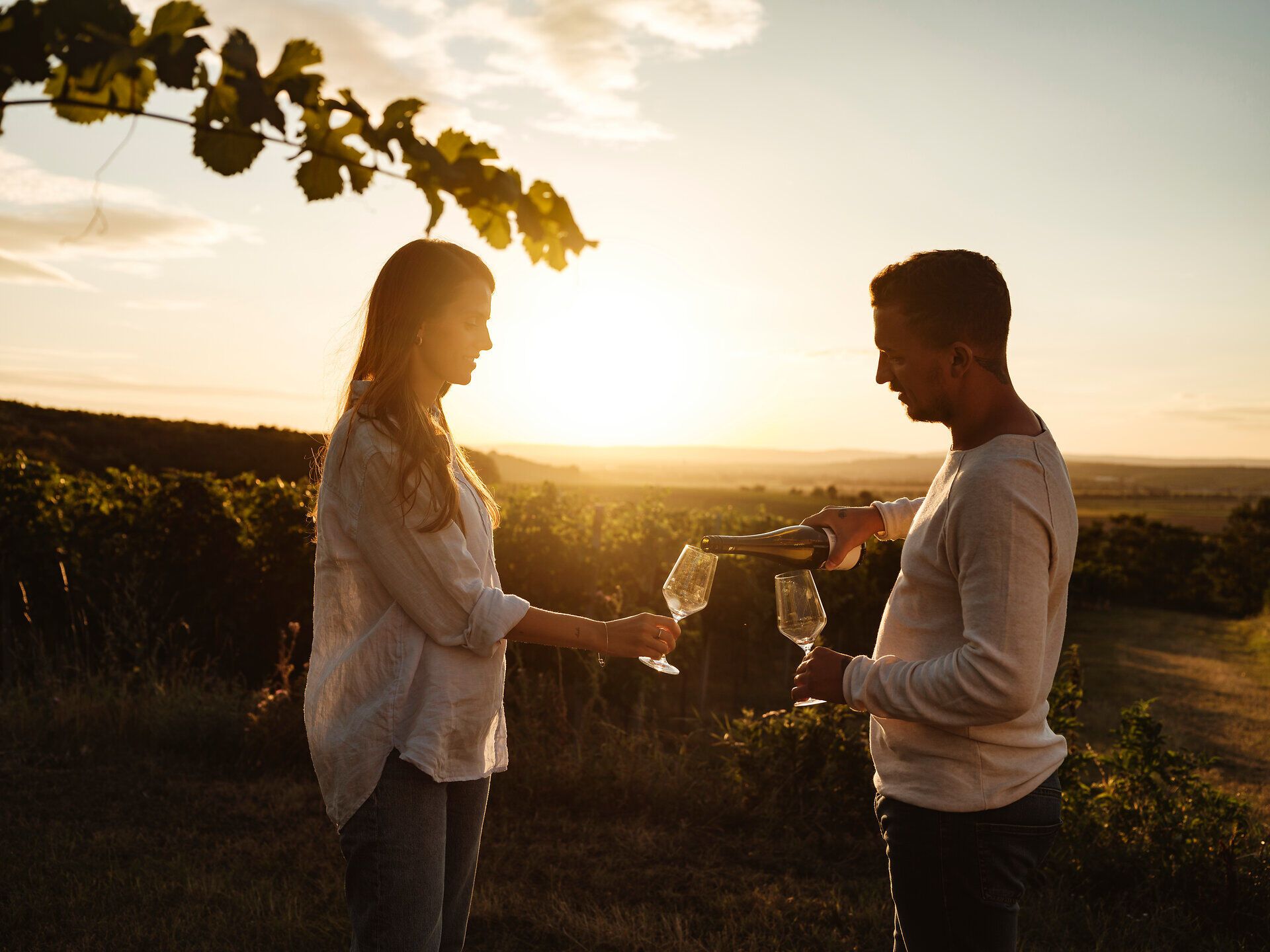Ein romantisches Picknick im Weinviertel, umgeben von sanften Weinbergen, während die Sonne langsam am Horizont untergeht. Der Duft von frischem Wein und köstlichen Snacks erfüllt die Luft und schafft eine unvergessliche Atmosphäre der Entspannung und des Genusses.