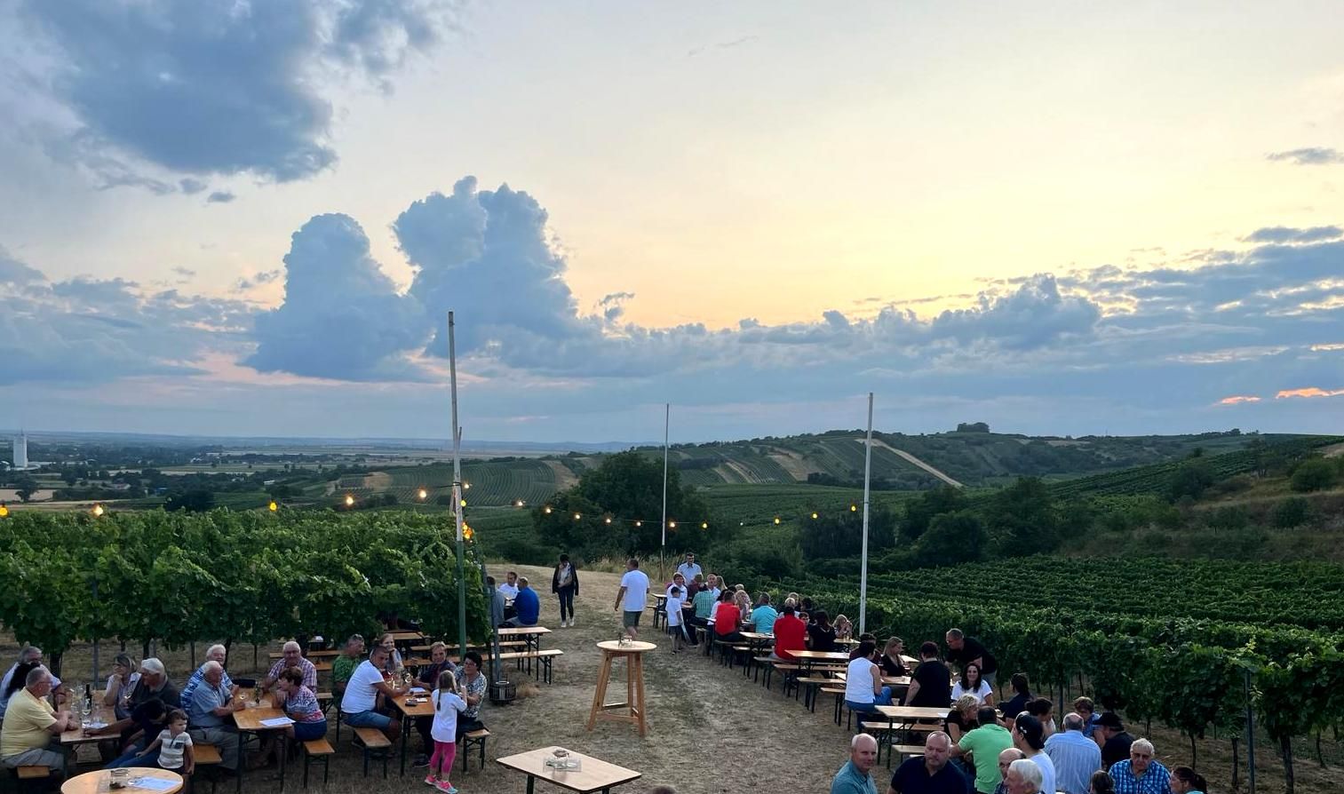 Menschen sitzen an Tischen in einem Weinberg bei Sonnenuntergang.