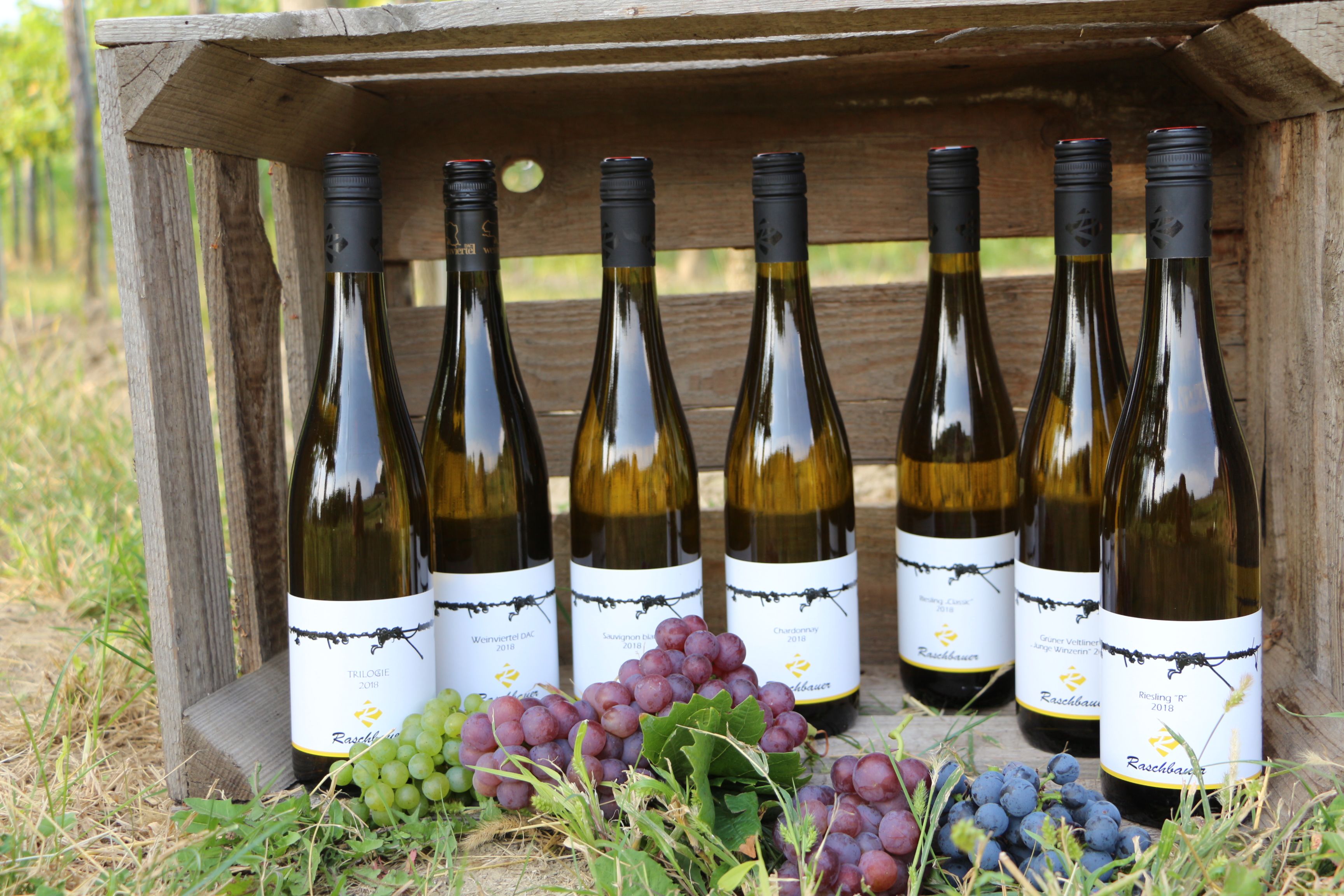 Seven bottles of wine in a wooden crate with grapes in the foreground.
