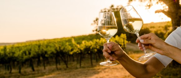 Sunset Tasting, &copy; Weinviertel Tourismus / Schwarz-K&ouml;nig