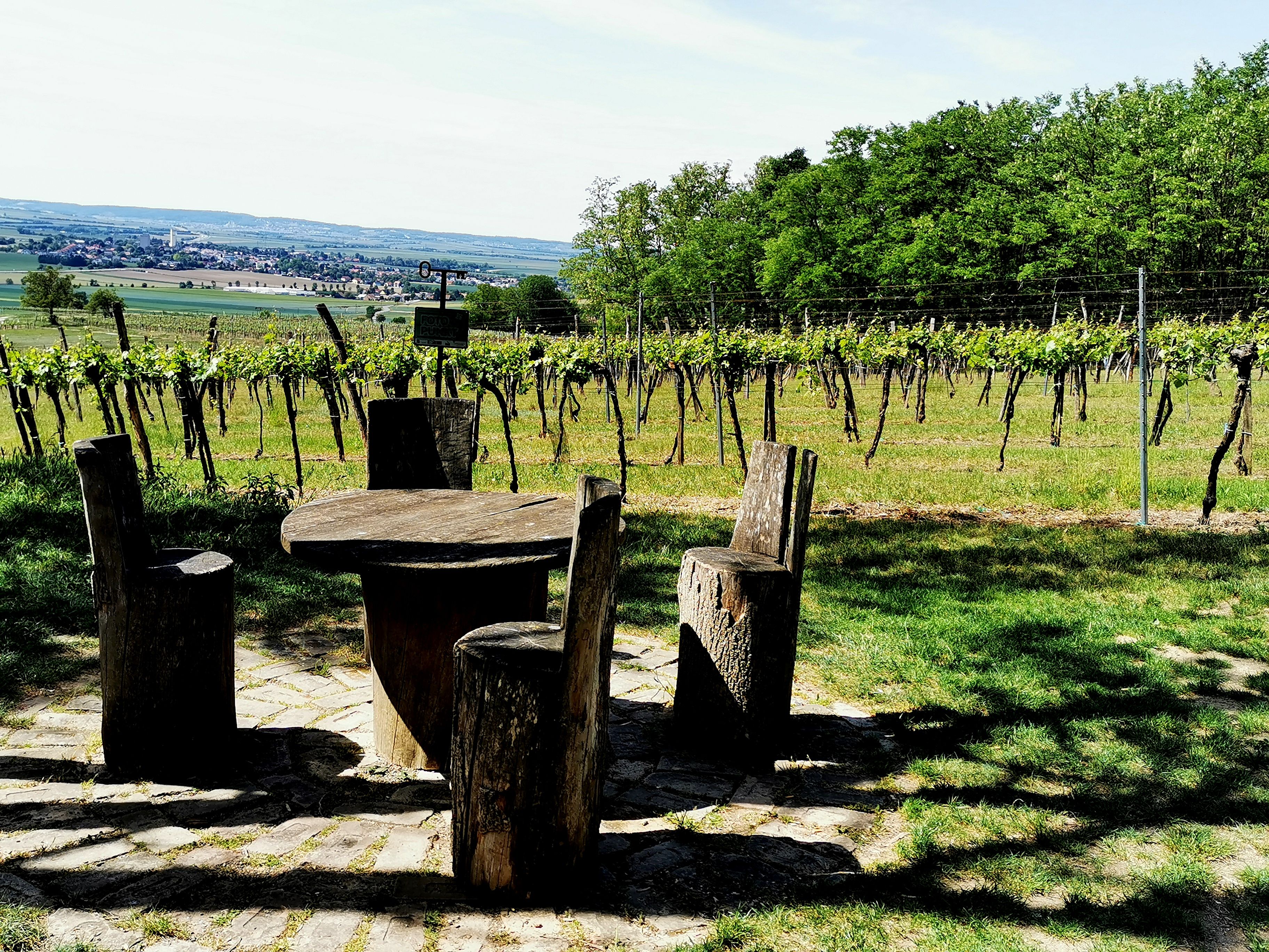 Holztisch und Stühle in einem Weinberg mit Blick auf eine Landschaft.