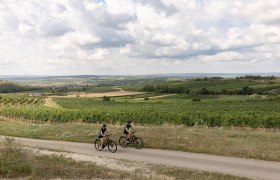 Radfahren, Weinviertel, Retzer Land, &copy; Weinviertel Tourismus/Markus Fr&uuml;hmann