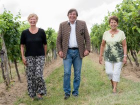 Kellergassenf&uuml;hrung durch den Weingarten, &copy; Jarmer Margarete