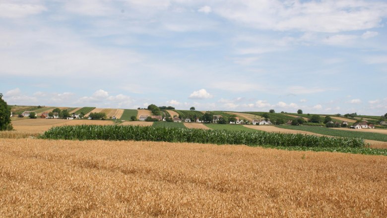 Landschaft mit Feldern und kleinen Häusern am Horizont unter blauem Himmel.