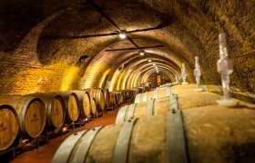 Ein Weinkeller mit vielen Holzfässern in einem gewölbten, beleuchteten Raum.