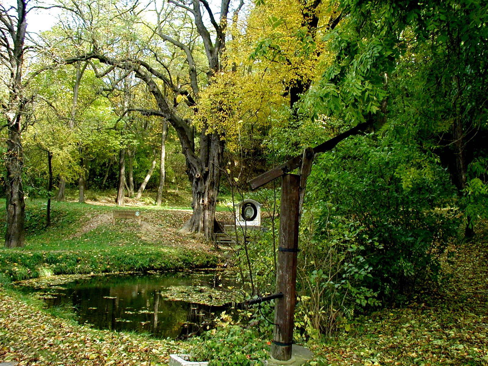 Ein idyllischer Wald mit einem kleinen Teich und einer alten Holzpumpe im Vordergrund.