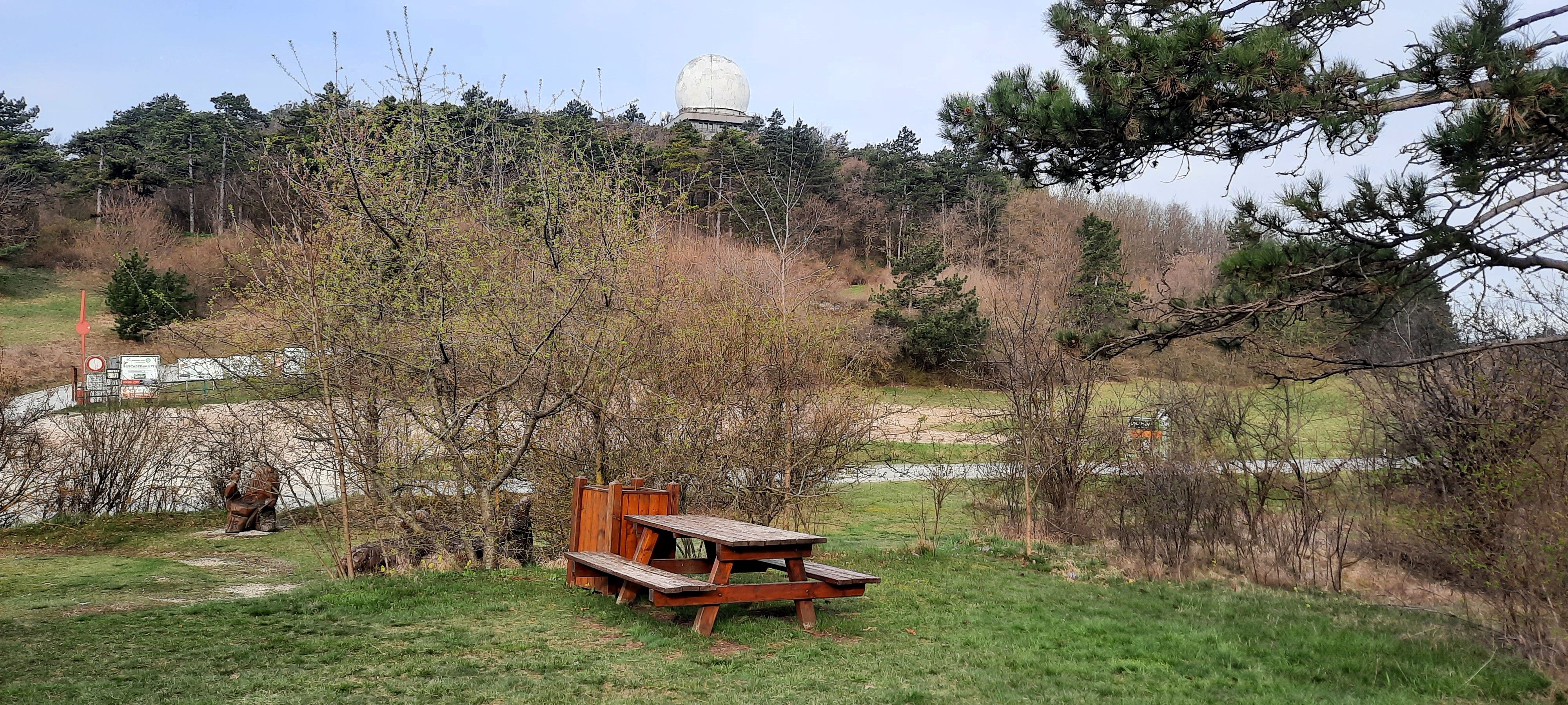 Picknicktisch auf einer Wiese mit Bäumen und einem großen weißen Radom im Hintergrund.