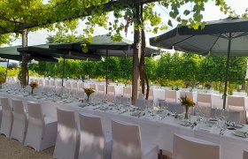 Elegante, lange Tafeln mit weißen Tischdecken und Sonnenblumen in einem Garten unter grünen Weinreben.