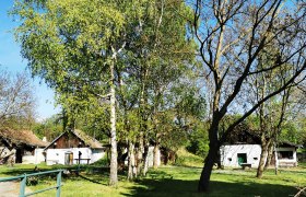 Kellergasse in Schalladorf mit Bäumen und kleinen Gebäuden.