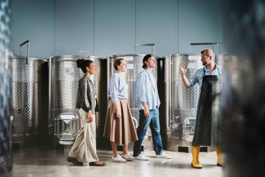 lassen Sie sich von den Winzern durch ihre Weingüter führen,, © Niederösterreich Werbung / Julius Hirtzberger