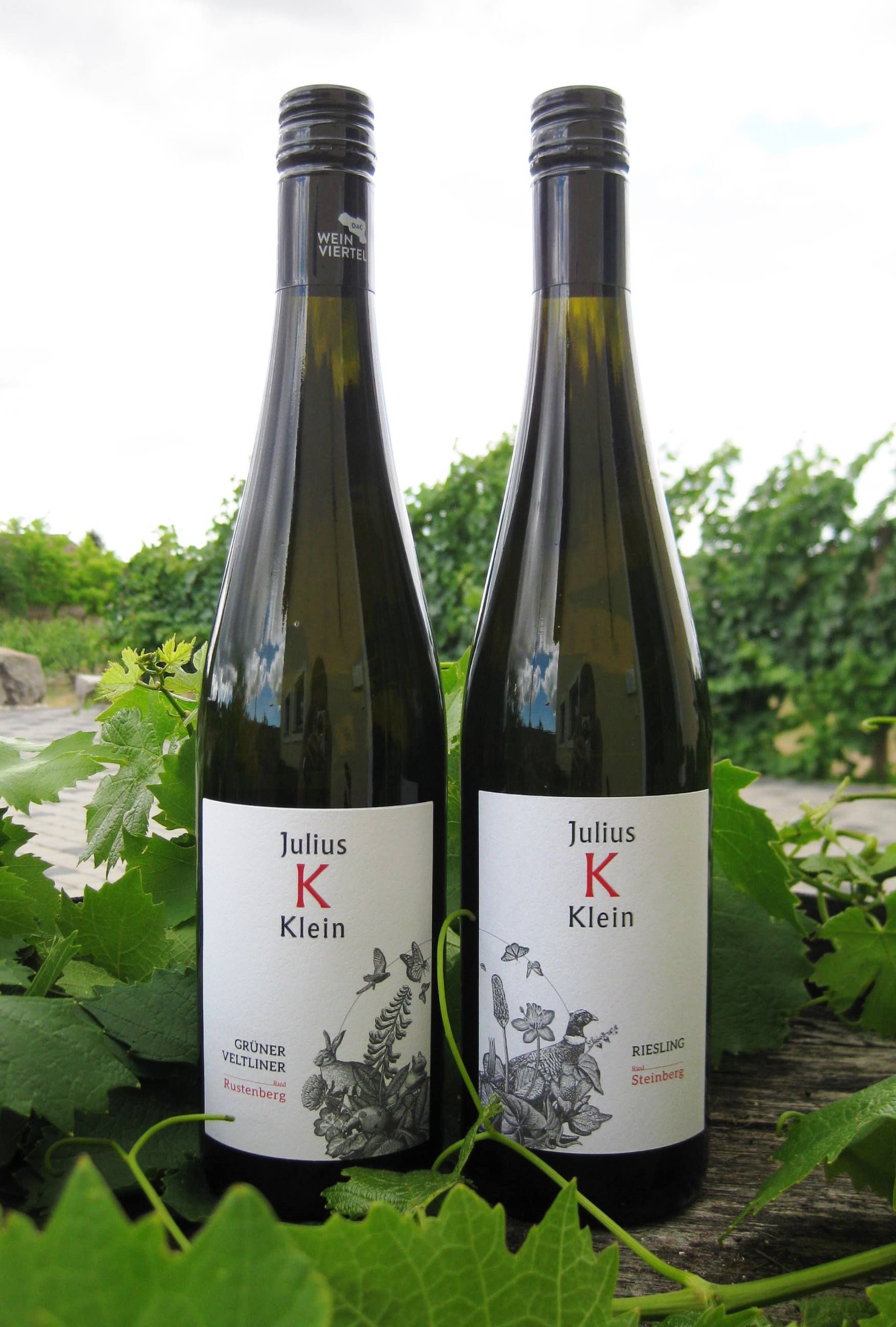 Zwei Weinflaschen von Julius Klein in einem Weinberg.