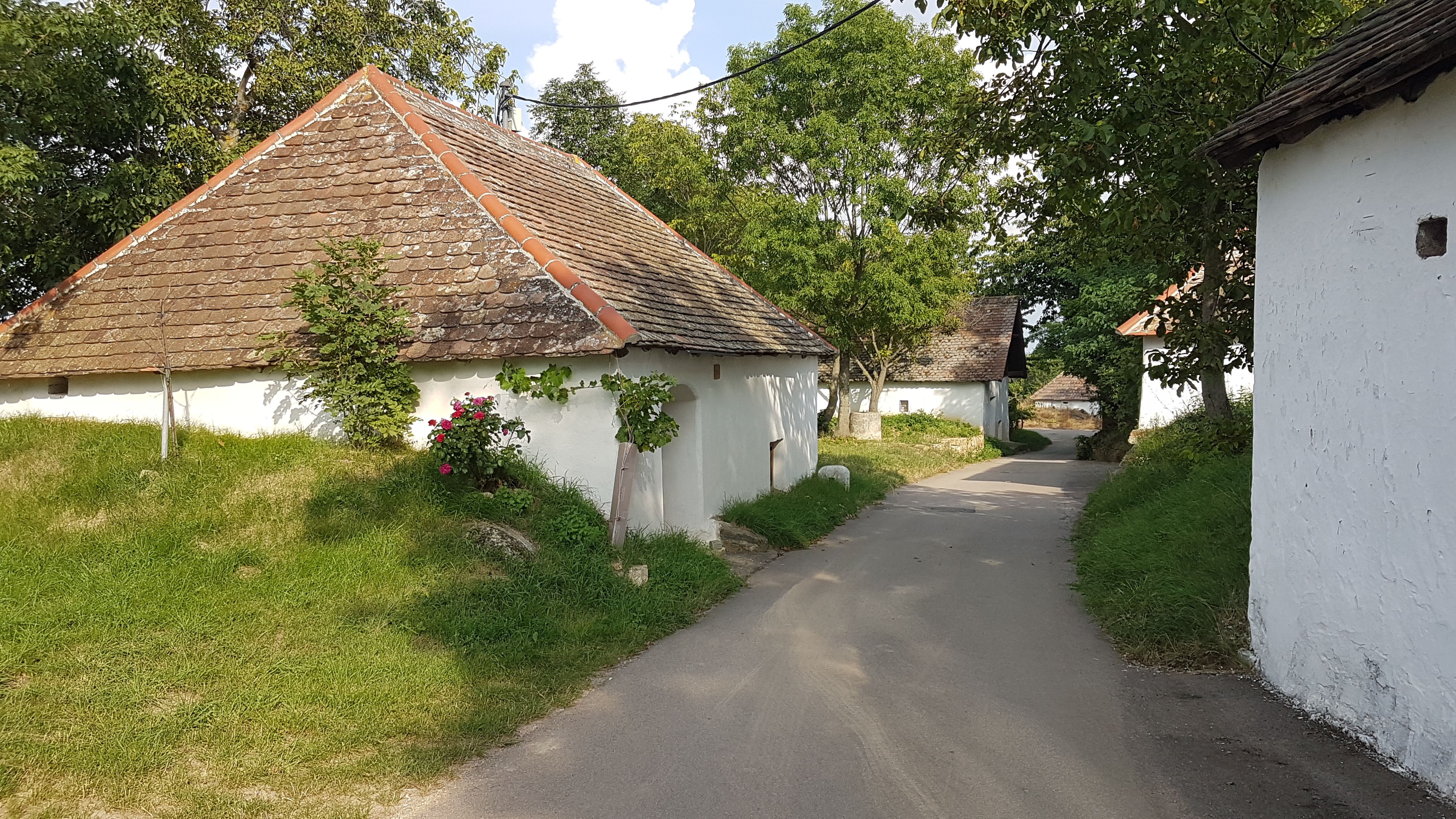 Eine malerische Kellergasse mit traditionellen Weinkellern und Presshäusern in einer ländlichen Umgebung.