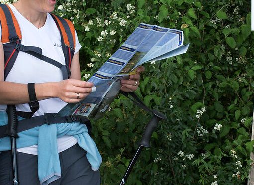Drei Wanderer stehen an einem Wegweiser und studieren eine Karte, um ihre nächste Etappe zu planen. Umgeben von üppigem Grün und blühenden Sträuchern, spüren sie die frische Bergluft und die Vorfreude auf das bevorstehende Abenteuer. Die Natur lädt ein, die Schönheit der Umgebung zu entdecken und neue Erinnerungen zu schaffen.