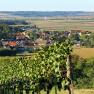 Panorama of a village with fields and vineyards in the foreground.