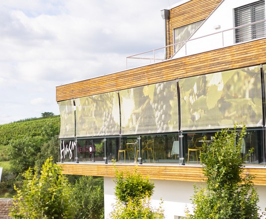 Modern building with terrace and vines in the background.