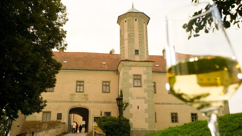 Ein Glas Weißwein im Vordergrund mit Schloss Jedenspeigen im Hintergrund.