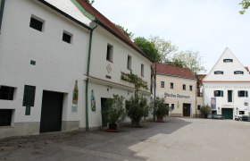 Kellergasse in Poysdorf mit traditionellen Weinhäusern und Pflanzen.