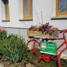 Ein rotes Fahrrad mit Blumenkasten steht vor einem Geb&auml;ude mit Garten.