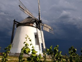 Windmühle Retz, © Weinviertel Tourismus / Mandl