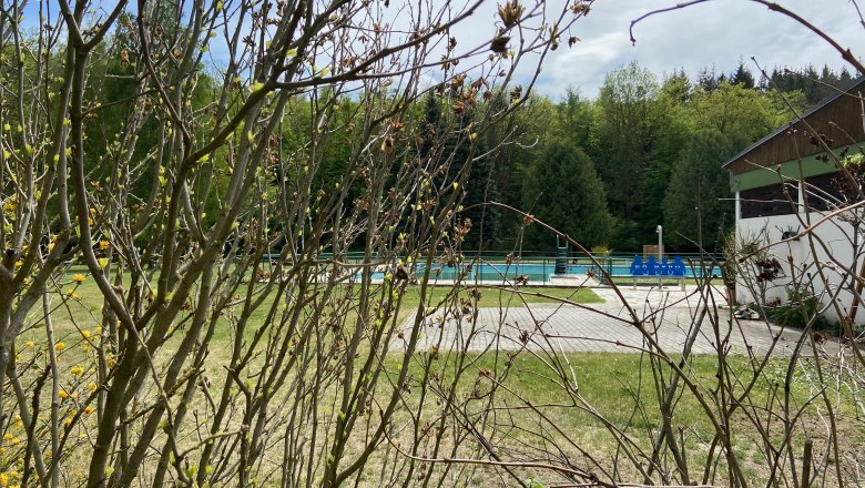 Ein Freibad mit leeren Becken, umgeben von Bäumen und Sträuchern.